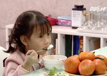 Kết hợp đạm động vật và đạm thực vật trong bữa ăn sao cho đúng?