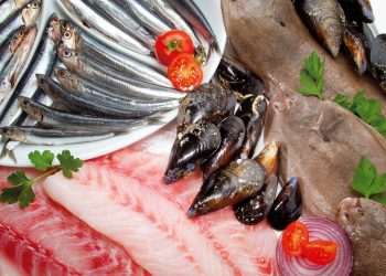 Khi nào có thể cho bé ăn hải sản?