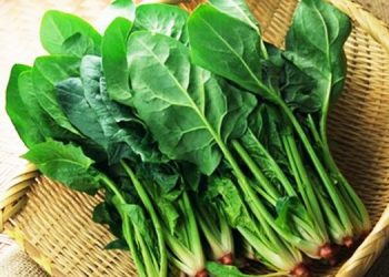 Loại rau giúp bổ sung canxi ngang sữa tươi