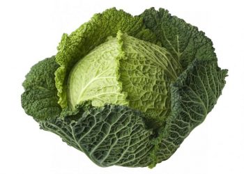 Lợi ích của bắp cải với sức khỏe