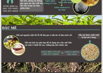 Lợi ích của các loại dầu thực vật