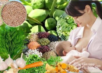 Lợi ích của sữa mẹ trong việc phòng chống thiếu vi chất dinh dưỡng ở trẻ em