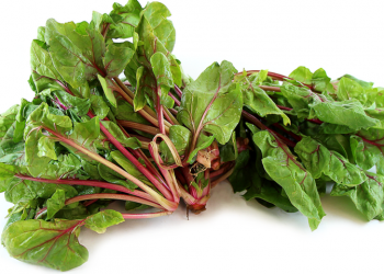 Lợi ích sức khỏe từ rau bina đỏ