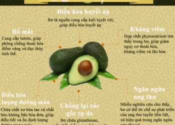 Lợi ích từ quả bơ