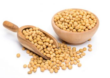 Lý do đậu nành được coi là thực phẩm quý phòng bệnh