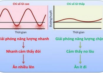 Nên hiểu đúng về chỉ số gi (glycaemic index) - Đề kháng insulin