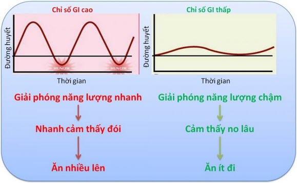 Nên hiểu đúng về chỉ số gi (glycaemic index) - Đề kháng insulin