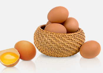 Những Điều Cần Biết Khi Ăn Trứng Gà