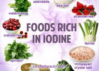 Những khoáng chất thiết yếu - I ốt - Florua