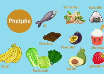 Những khoáng chất thiết yếu - Photpho - Kali - Natri