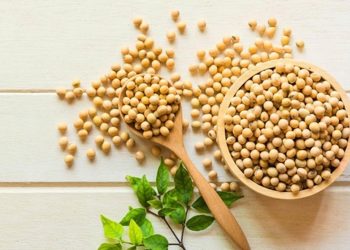 Những món ăn chế biến từ đậu nành và bệnh xơ vữa động mạch