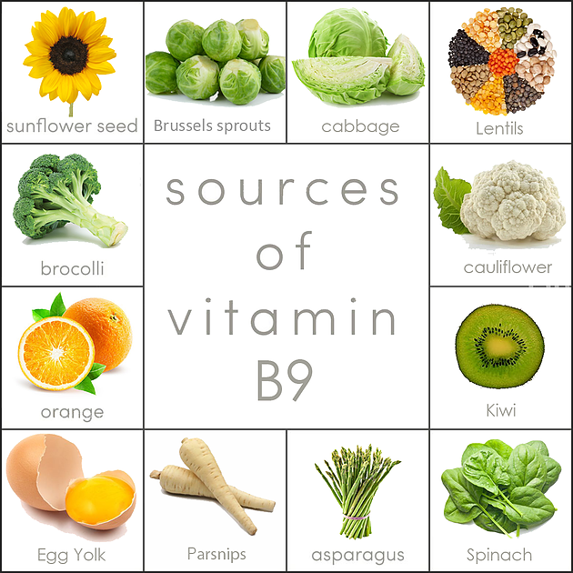 Vitamin B9
