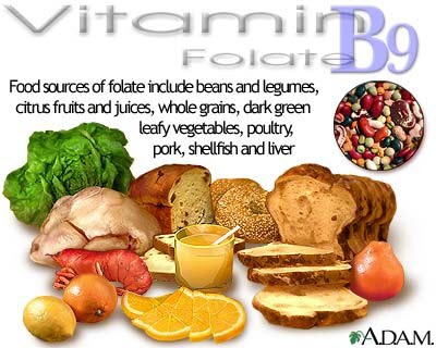 Axit folic (Vitamin B9)