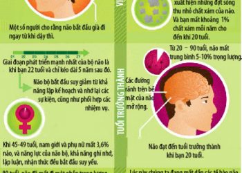 Quá trình lão hóa diễn ra như nào