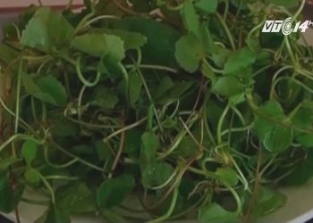 Rau má: Ăn bao nhiêu là tốt nhất?