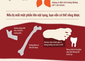Sự thật ngạc nhiên về cơ thể người