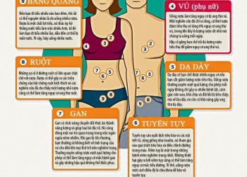 Tác động của rượu tới cơ thể