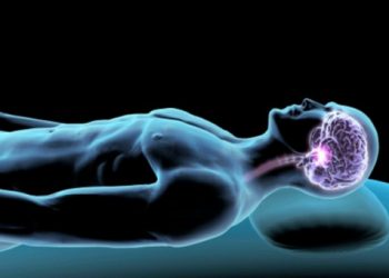 Tại sao con người phải ngủ?