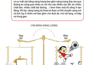 Tại sao trẻ bị thừa cân béo phì