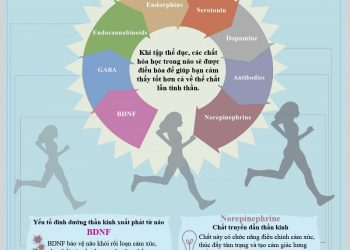 Tập thể dục giúp bạn được vui vẻ