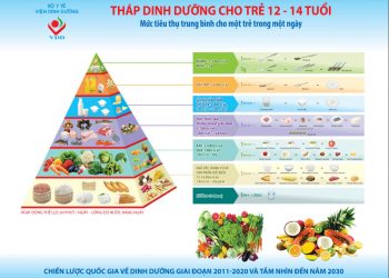 Tháp dinh dưỡng cho trẻ 12-14 tuổi