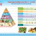 Tháp dinh dưỡng cho trẻ 12-14 tuổi