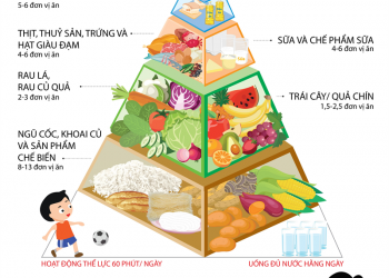 Tháp dinh dưỡng cho trẻ 6-11 tuổi