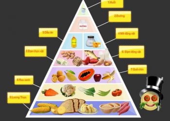 Tháp dinh dưỡng - Dinh dưỡng học đường