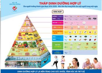 Tháp Dinh dưỡng hợp lý cho người trưởng thành