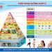 Tháp Dinh dưỡng hợp lý cho người trưởng thành