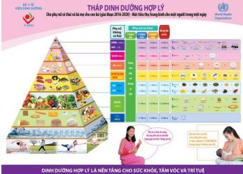 Tháp Dinh dưỡng hợp lý cho phụ nữ có thai và bà mẹ cho con bú
