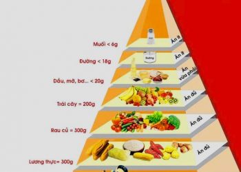 Tháp dinh dưỡng không thịt giúp eo thon, dáng đẹp