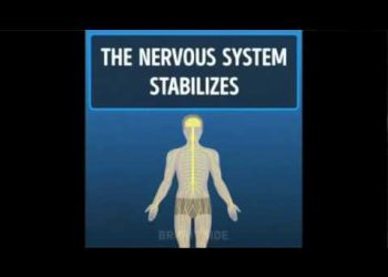 thay-doi-cua-co-the-khi-ban-dung-an-do-an-nhanh