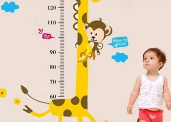 Thời điểm vàng 'bón thúc' cho con cao lớn