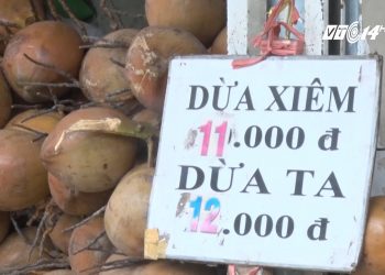 Thời tiết nắng nóng, uống nước dừa tươi thế nào cho an toàn?