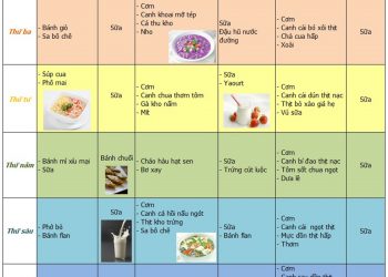 Thực đơn tuần nhiều món hấp dẫn cho trẻ biếng ăn