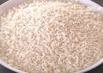 Thực hư việc ăn gạo nếp gây béo và nóng
