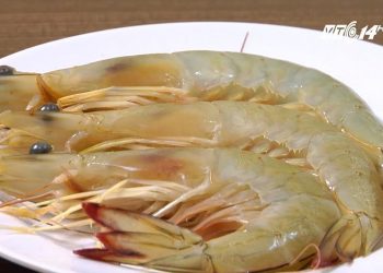 Thực hư việc kiêng ăn thịt gà, tôm khi bị ho