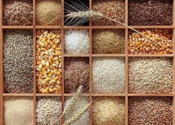 Ngũ cốc nguyên hạt