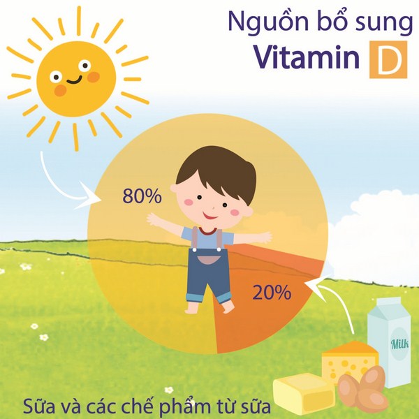 Tìm hiểu về Vitamin D