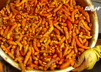 Tinh bột nghệ và những tác dụng với sức khỏe