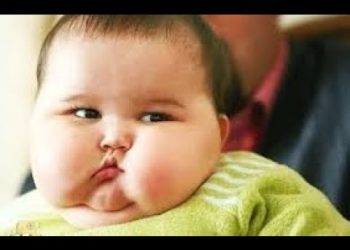 Trẻ béo phì do sai lầm về dinh dưỡng của cha mẹ