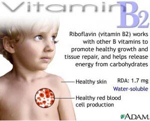 Tác dụng của Vitamin B2 đối với cơ thể​