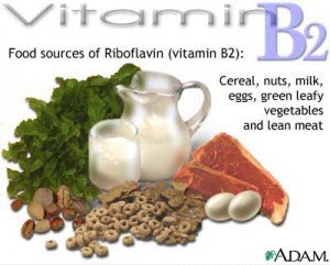 Những thực phẩm giàu Vitamin B2​
