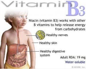 Vai trò của Vitamin B3 đối với cơ thể​