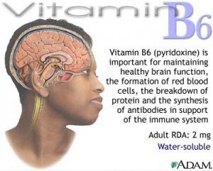 Vai trò của Vitamin B6 đối với cơ thể