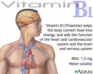 Vai trò của Vitamin B1 đối với các cơ quan trong cơ thể​