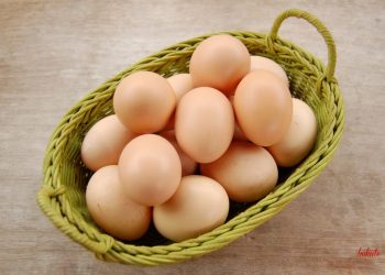 Trứng - Thực phẩm có giá trị dinh dưỡng cao