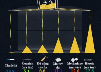 Tuổi thọ mất đi ?