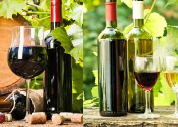 Uống rượu vang như thế nào đảm bảo khỏe đẹp